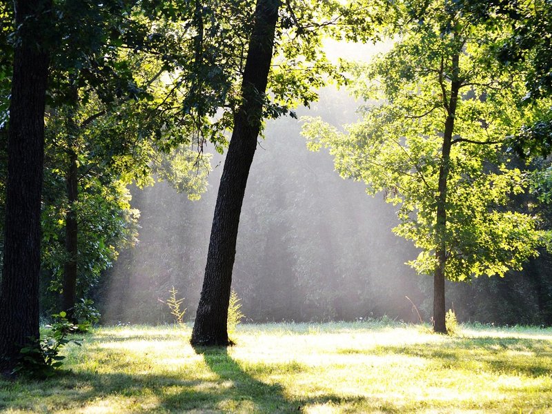 Seeking Aspen