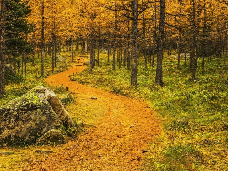 Seeking Aspen
