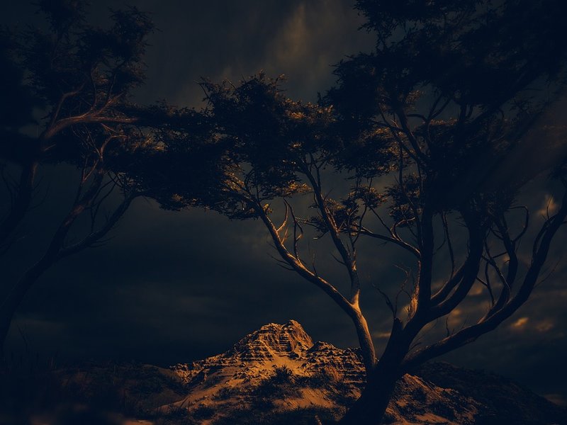 Seeking Aspen